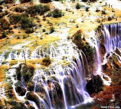 �齫��Ͳ����Ƶ��ȫ����Э����ίԱ�ḱ�������������Υ�ͱ���...